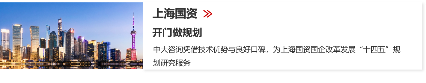 國有資本中長期規劃