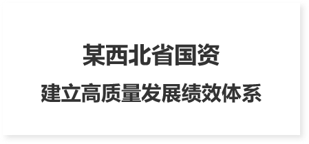 國有資本中長期規劃