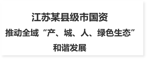 國有資本中長期規劃
