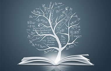 企業內部審計職能體系建設