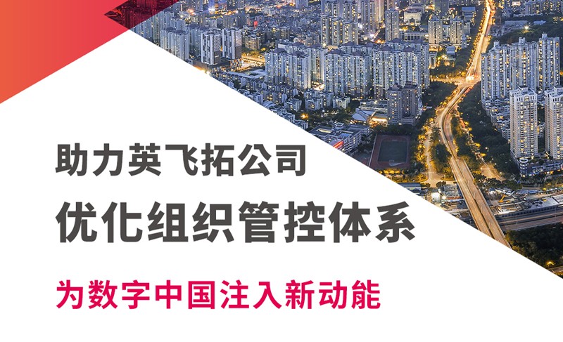 英飛拓公司組織管控與人力資源優(yōu)化項(xiàng)目