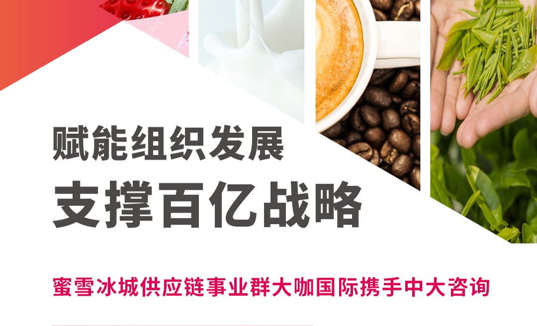 大咖國際食品有限公司組織管控咨詢項(xiàng)目