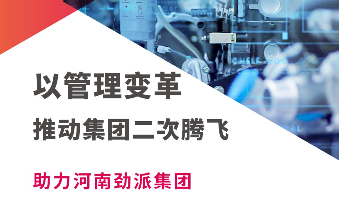 河南勁派集團有限公司管理優化咨詢項目