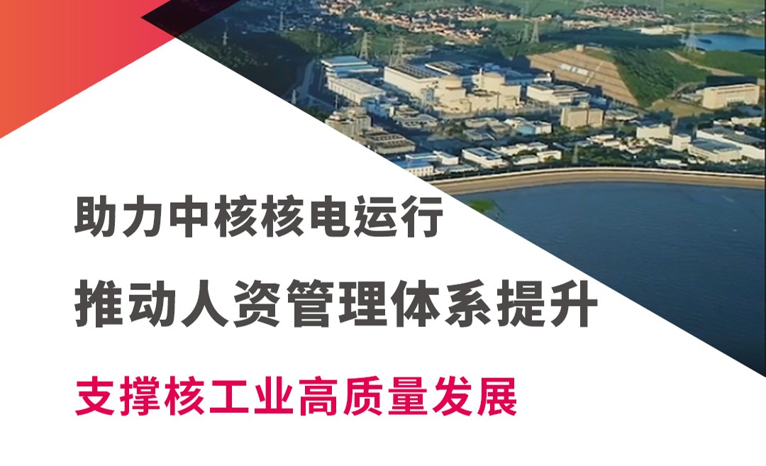 中核運(yùn)行人力資源咨詢服務(wù)項(xiàng)目