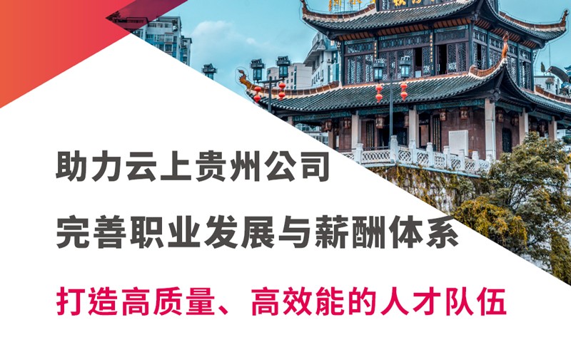 云上貴州大數(shù)據(jù)產(chǎn)業(yè)發(fā)展有限公司新酬體系改革和職業(yè)發(fā)展設(shè)計(jì)項(xiàng)目