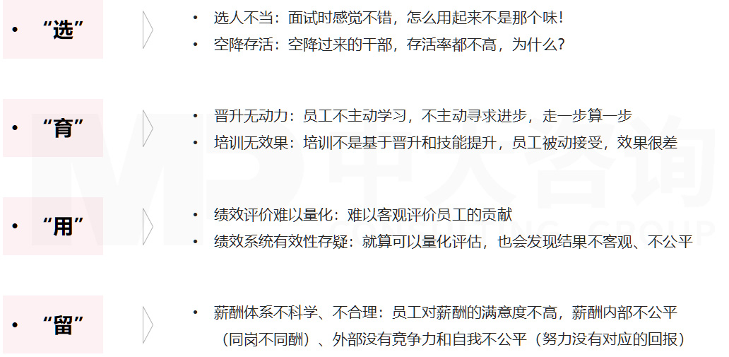 直播電商專項服務