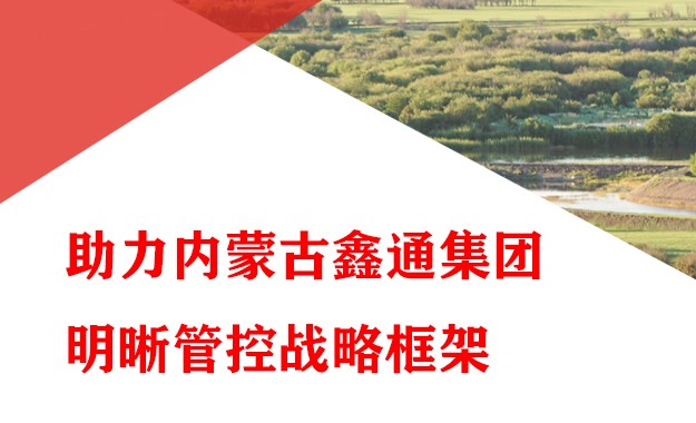 內蒙古鑫通集團明晰管控戰略框架