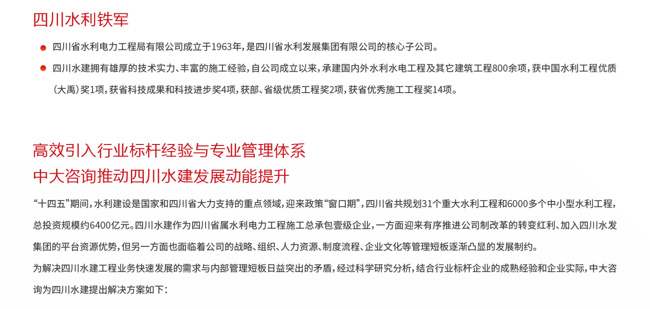 四川水建綜合管理提升項目