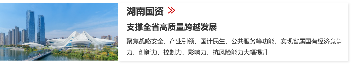 國有資本中長期規劃