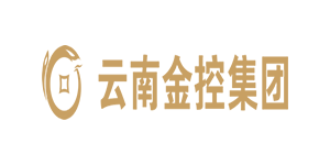 云南金控集團