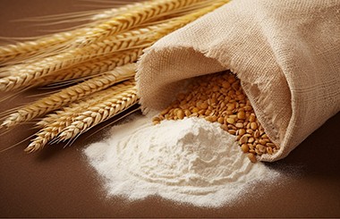 西部某國家級糧食物流園：轉型升級項目