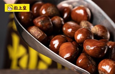 粒上皇食品：戰略規劃、人力資源優化、人才培養、流程重塑項目