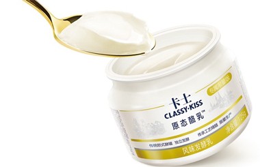 綠雪生物工程/卡士乳業(yè)數(shù)字化轉型規(guī)劃