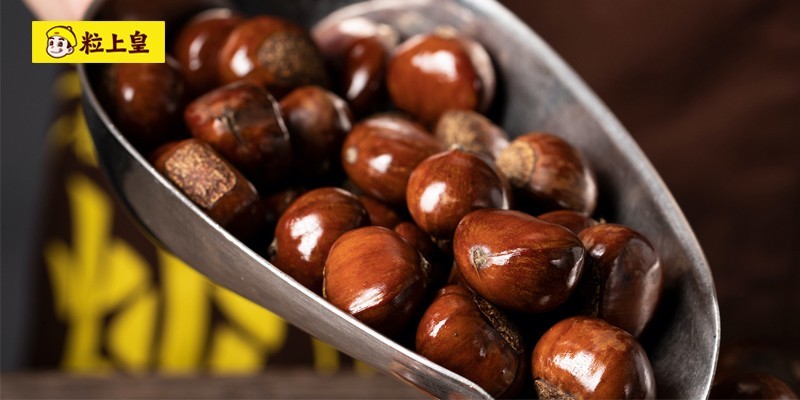 粒上皇食品戰(zhàn)略規(guī)劃、人力資源優(yōu)化、人才培養(yǎng)、流程重塑項目