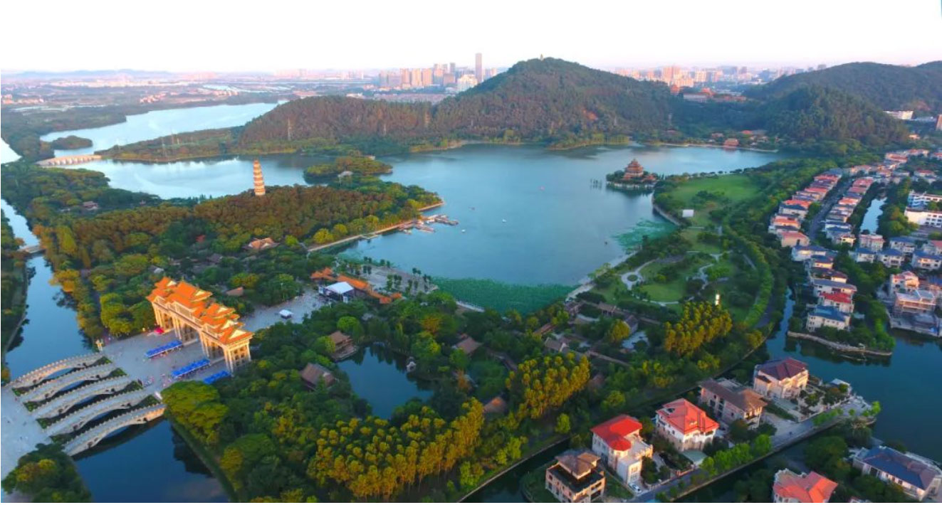 奮進“十四五”，全面打造高質量發展“順德樣板”，中大咨詢在行動