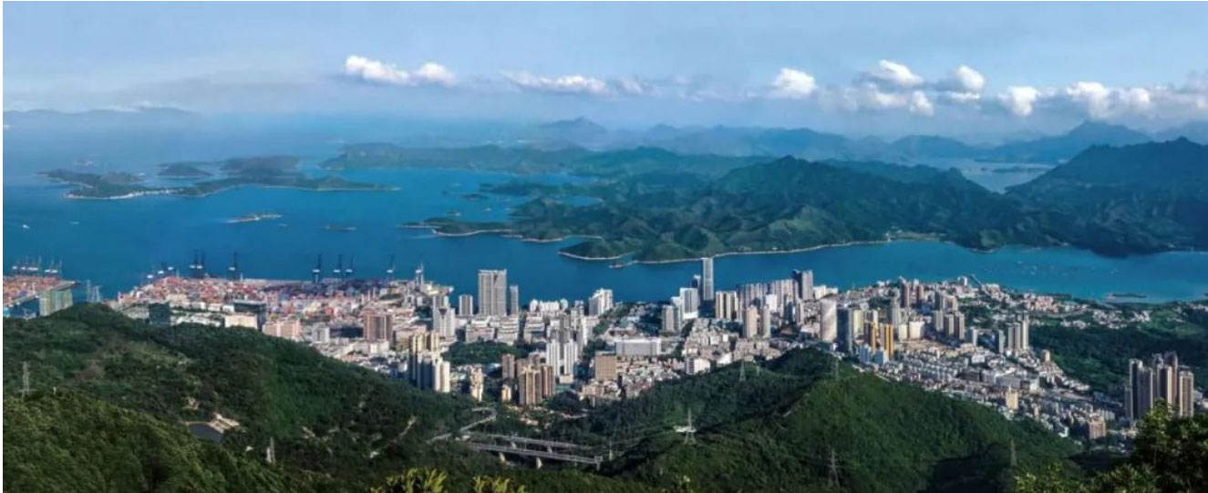 強化人才政策功能，助力優勢與新興產業做大做強，深圳市鹽田區攜手中大咨詢優化人才政策體系