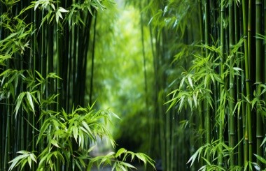 雙碳背景下，某省級(jí)燃?xì)饧瘓F(tuán)可持續(xù)發(fā)展戰(zhàn)略研究項(xiàng)目