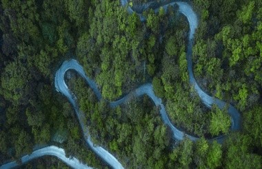 某省級(jí)能源集團(tuán)低碳轉(zhuǎn)型發(fā)展路徑研究項(xiàng)目