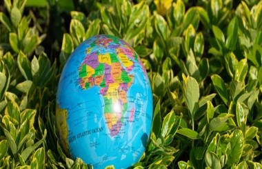 深圳市某區(qū)雙碳目標(biāo)下能源高質(zhì)量發(fā)展戰(zhàn)略規(guī)劃項(xiàng)目