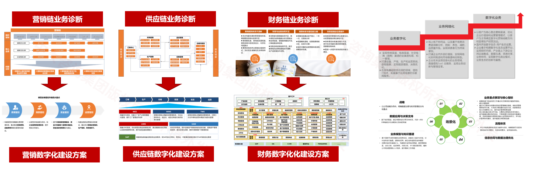 綠雪生物工程/卡士乳業數字化規劃