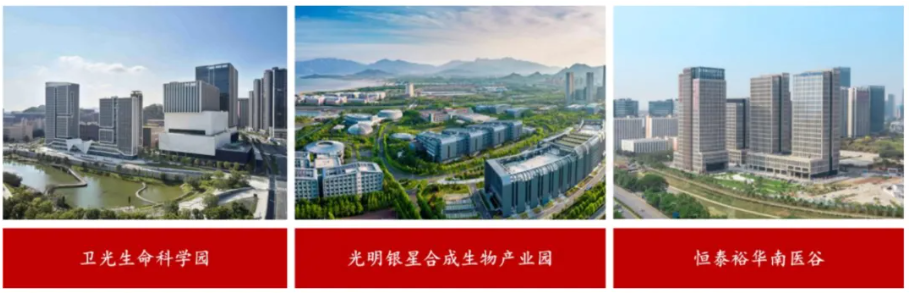 新質生產力培育 | 深圳合成生物產業培育做法對地方政府培育新興產業的經驗借鑒(標桿篇一) 新質生產力培育 | 深圳合成生物產業培育做法對地方政府培育新興產業的經驗借鑒(標桿篇一)