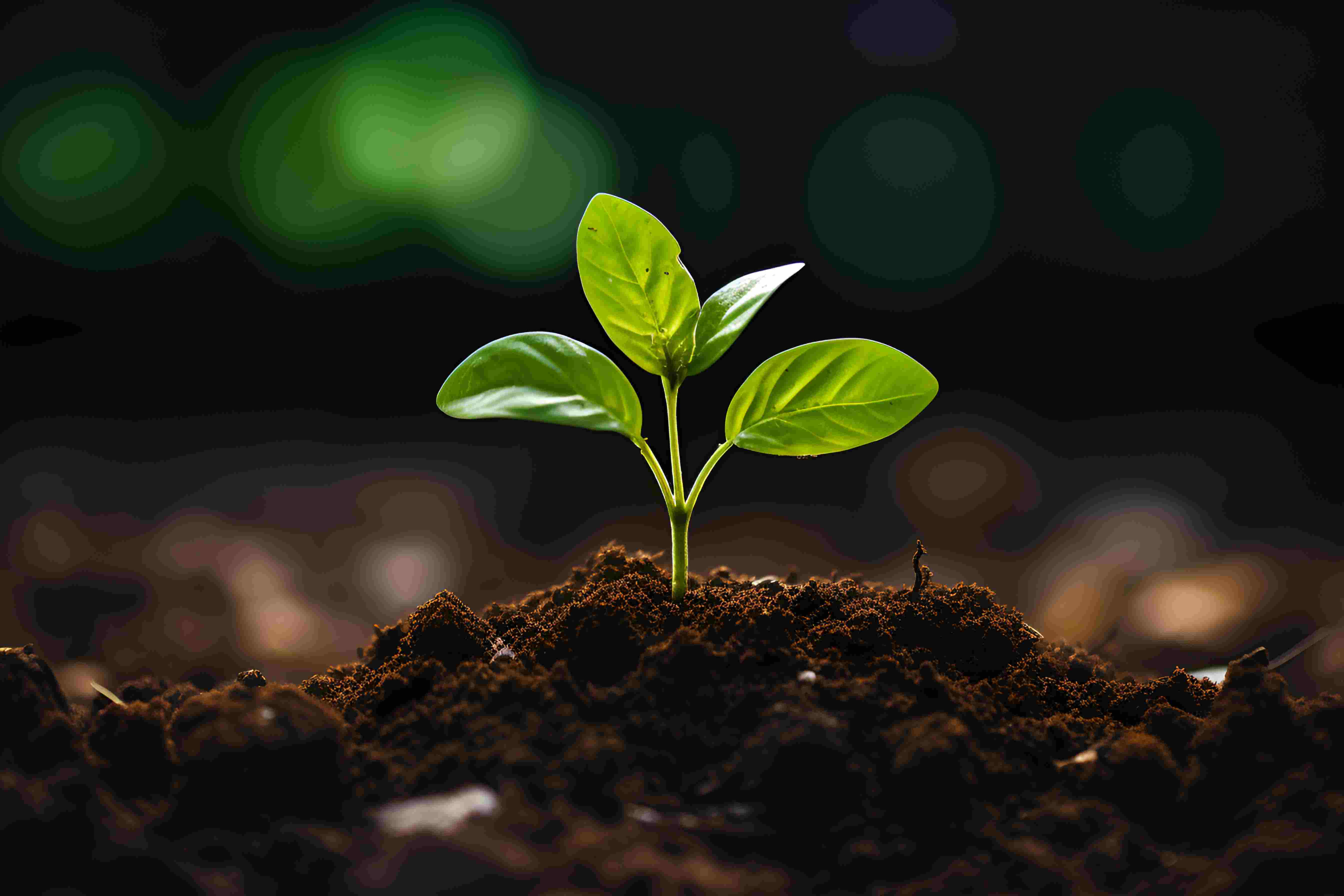 從無(wú)到有-體系構(gòu)建 從無(wú)到有-體系構(gòu)建