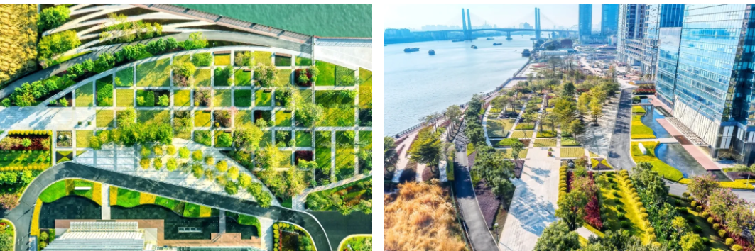 官宣！中大咨詢廣州辦公室搬新家，入駐270°一線江景大廈！